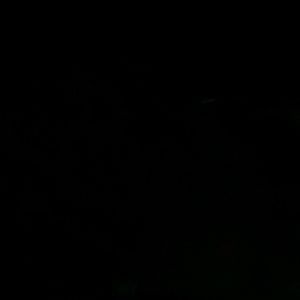 Meet your Posher, Brenden